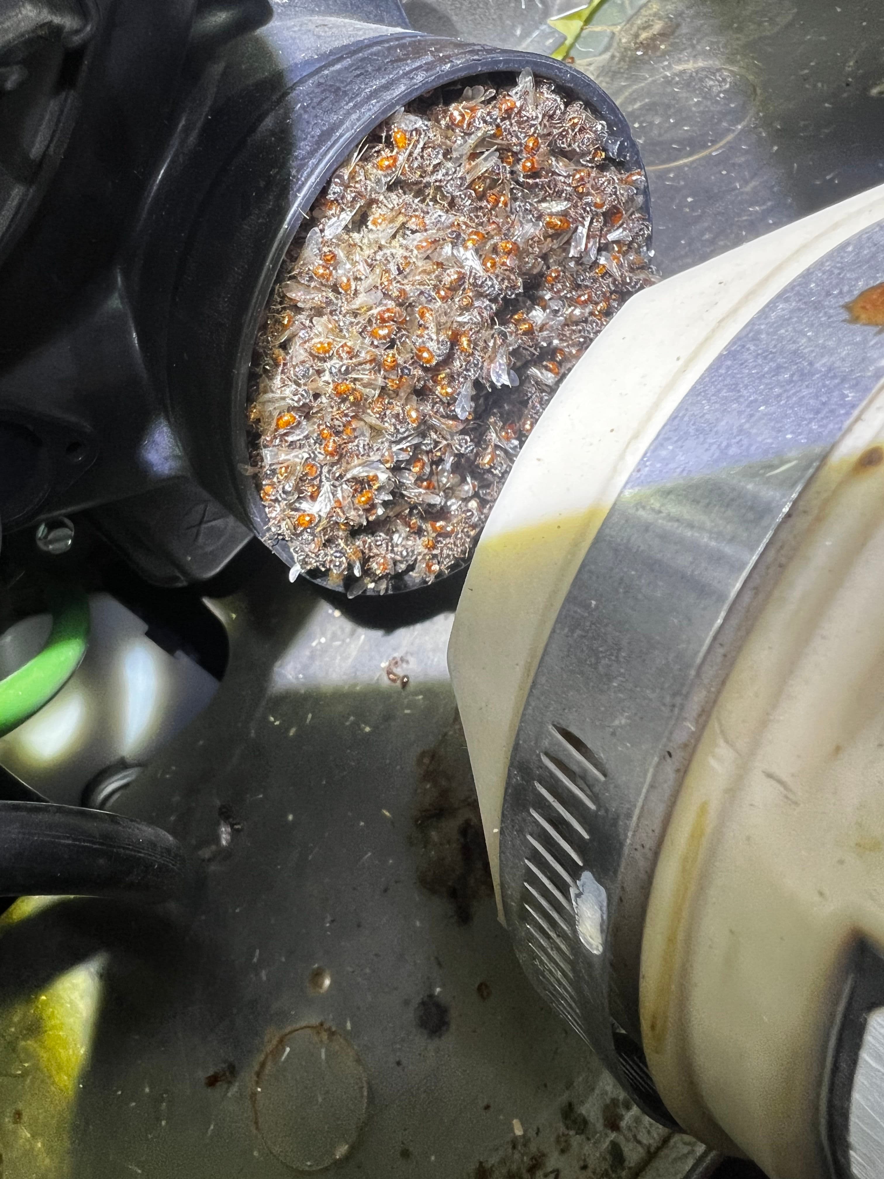 Project Don't Ignore Your HVAC Maintenance image