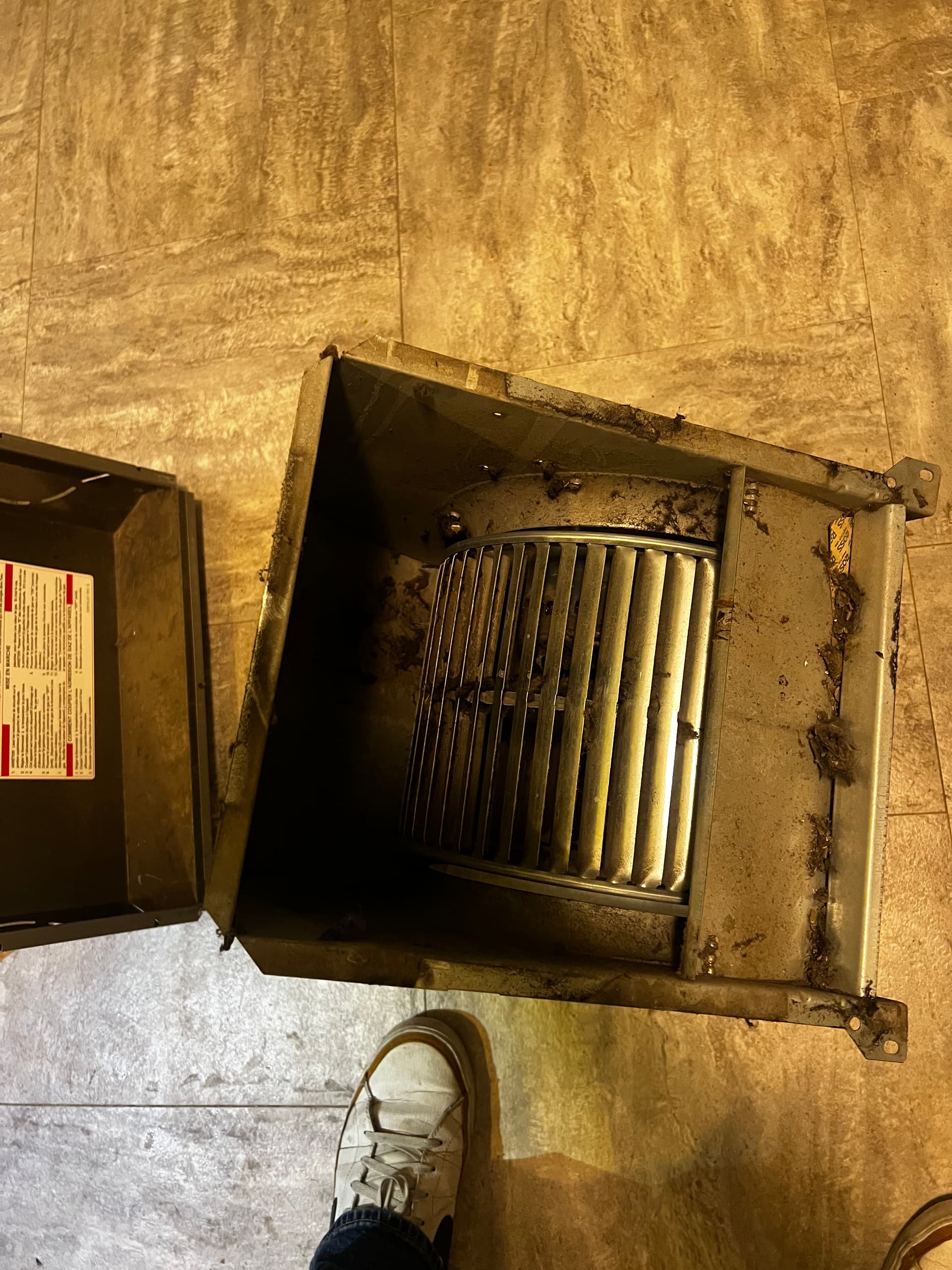 Expert Blower Wheel Cleaning in Action